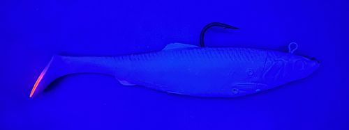 4D Herring Big Shad